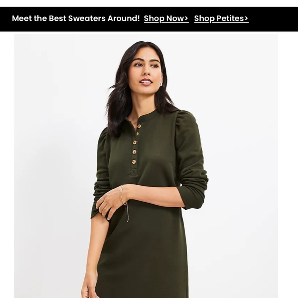 Ann Taylor LOFT cotton above the knee green dress.